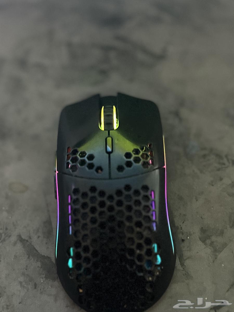 Mouse63699424581507110