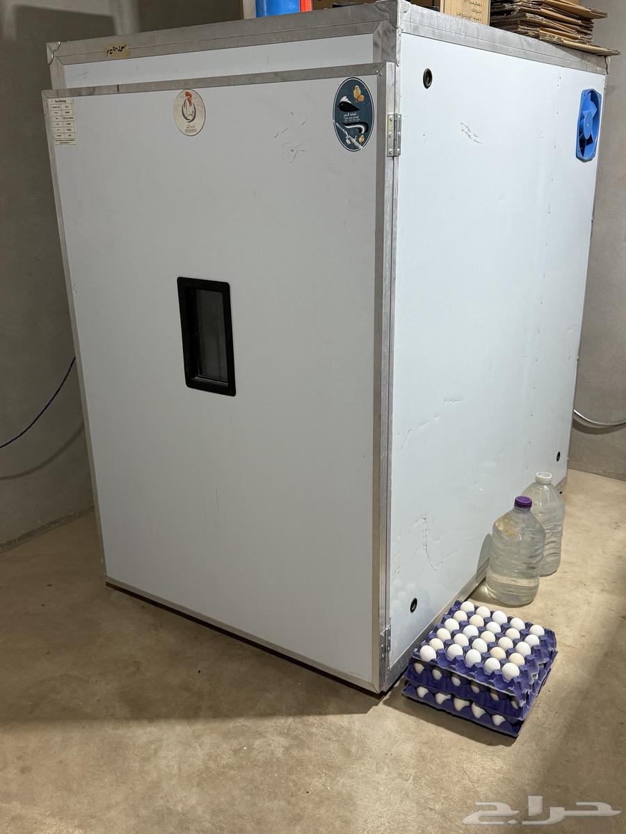 Tamayek incubator from Baher Lam'a, clean63699526530050110