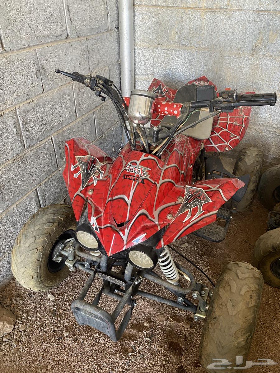 دباب صيني 110cc63753006862339110