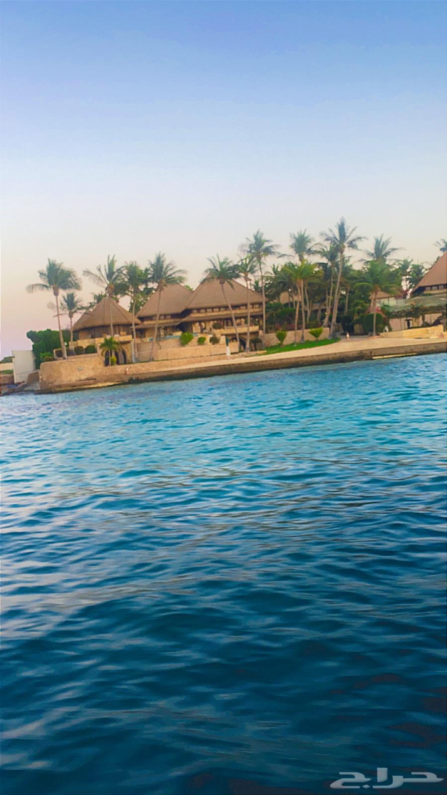 Boat for rent for one hour and one and a half hours in Sharm Al-Bahr63701418545667112