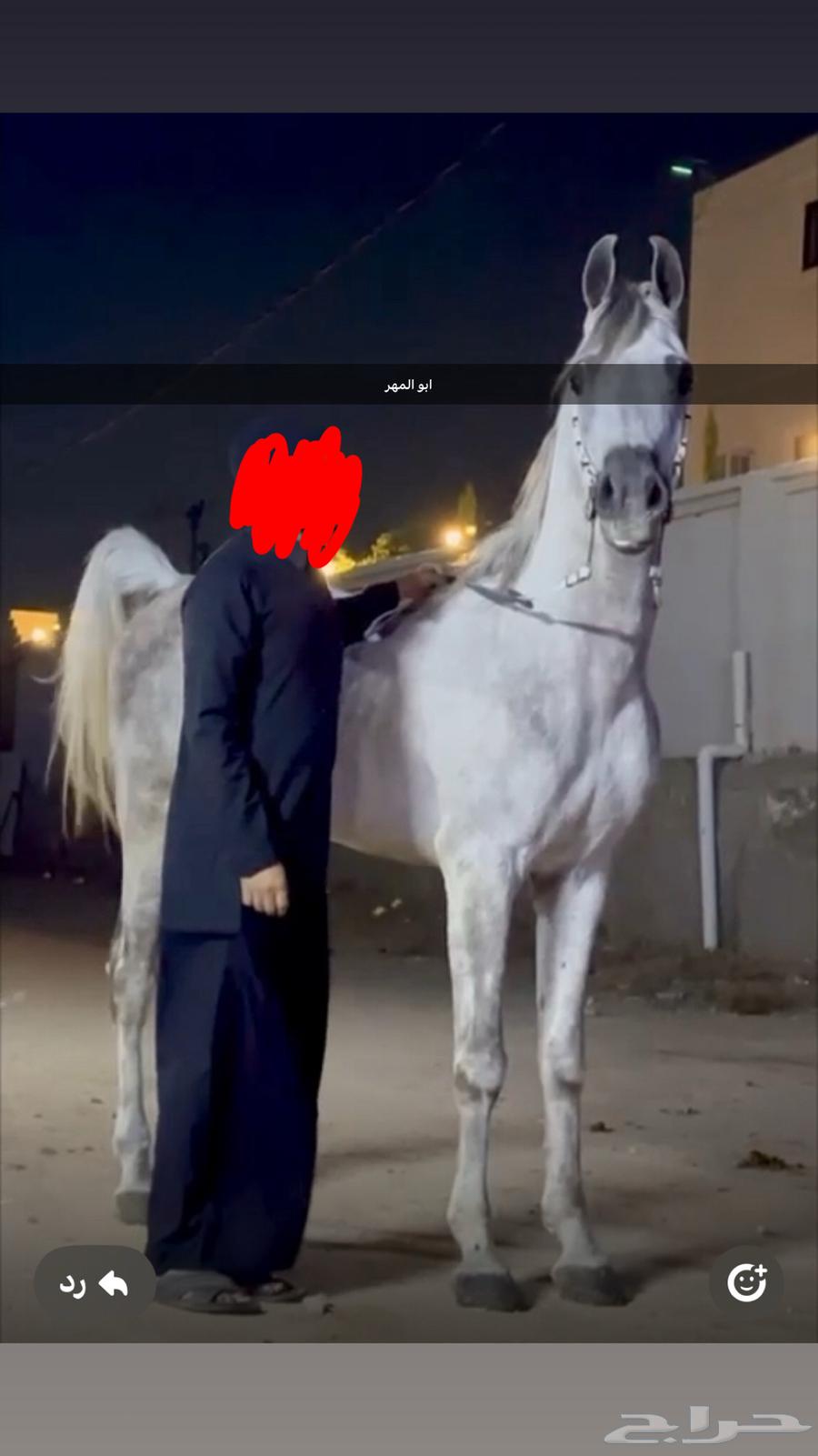 مهر شعبي فاخر63704480689921114