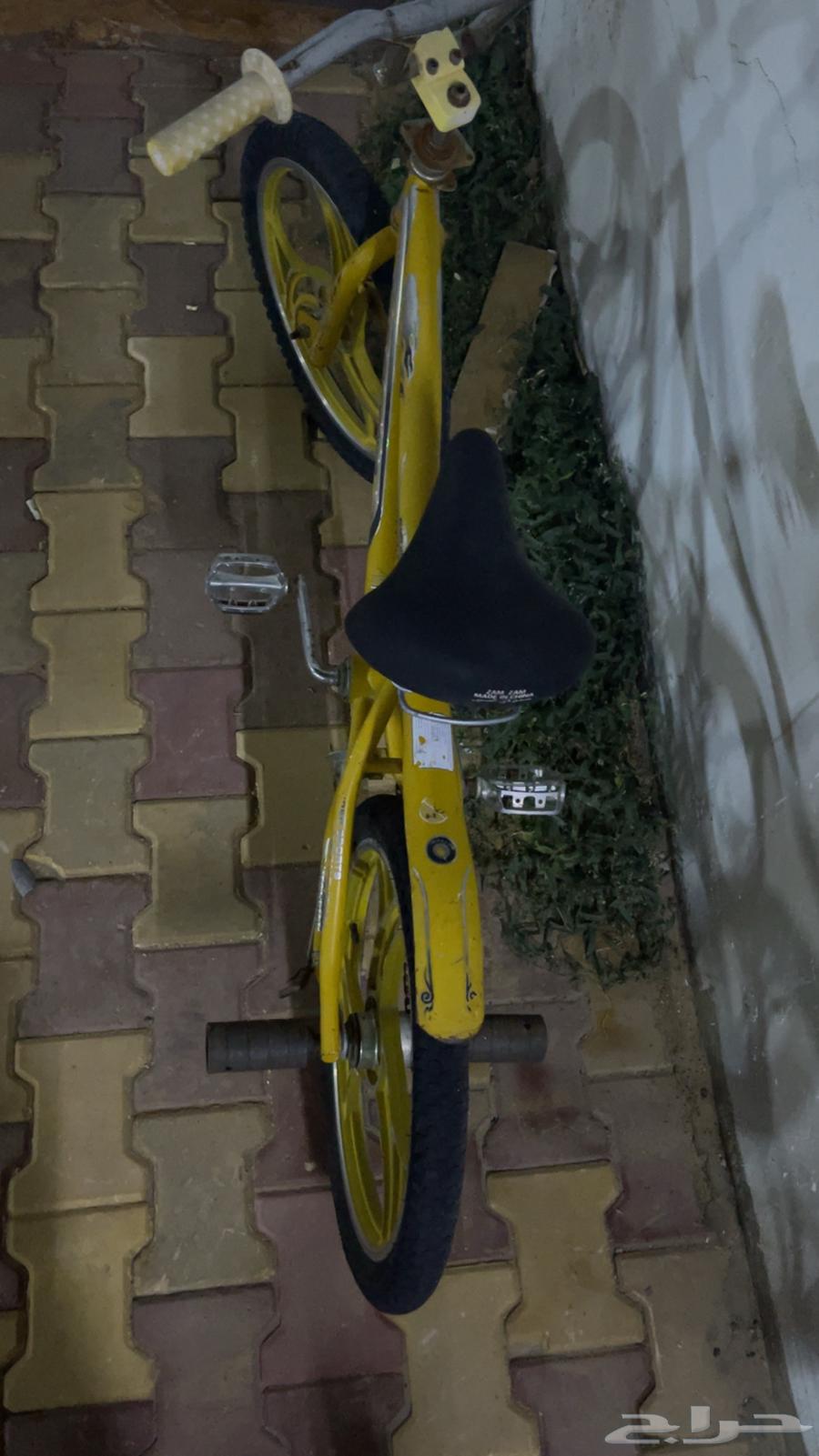 Cobra motorcycle63699623616130113