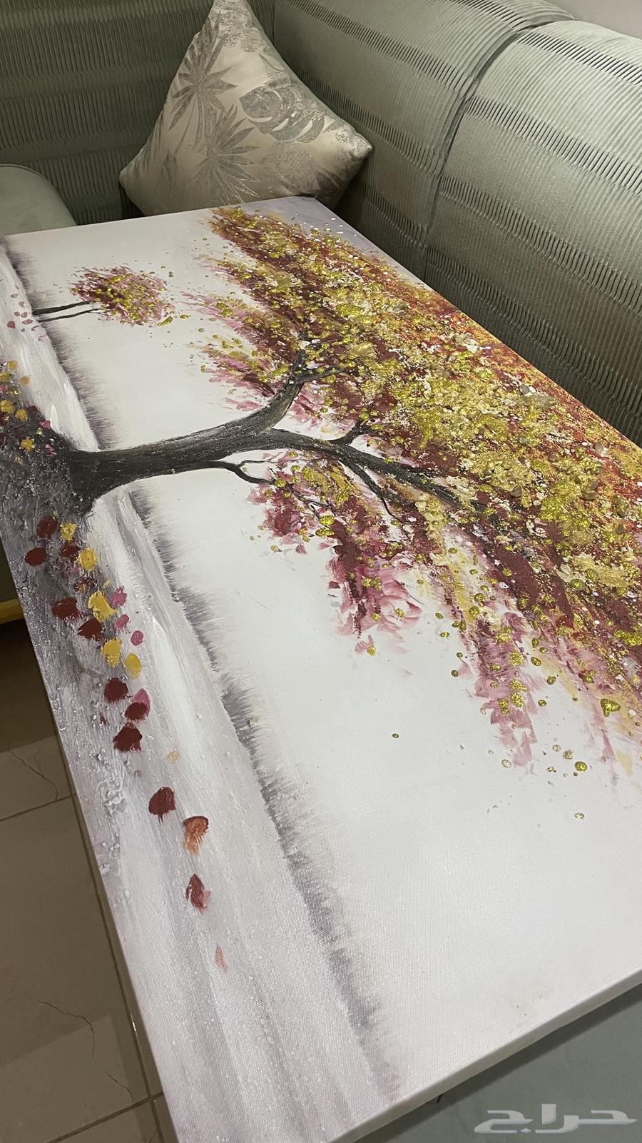 Boards for sale63699633439747114