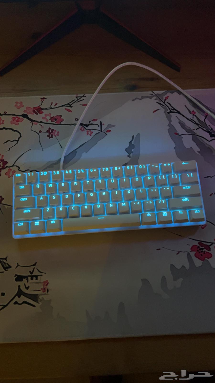 Razer Gaming Keyboard Purple Switch63705534669697111