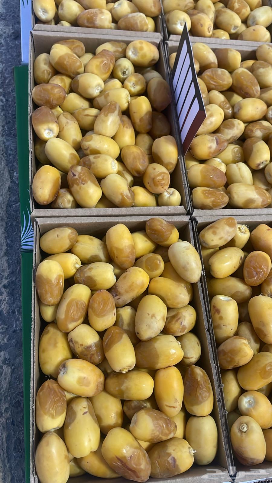 Al-Qassim dates are available on Friday at Al-Rajhi Mosque63700088675585111