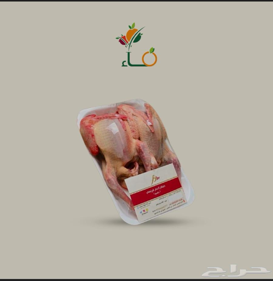 جوز حمام ب سعر الجملة مصلوخ ونظيف ب 15 بلدي63701698101378110