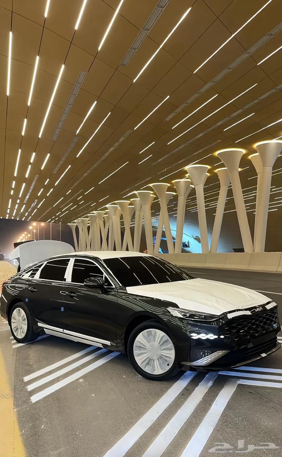 مطلوب غطيان جنوط k863762659253891110