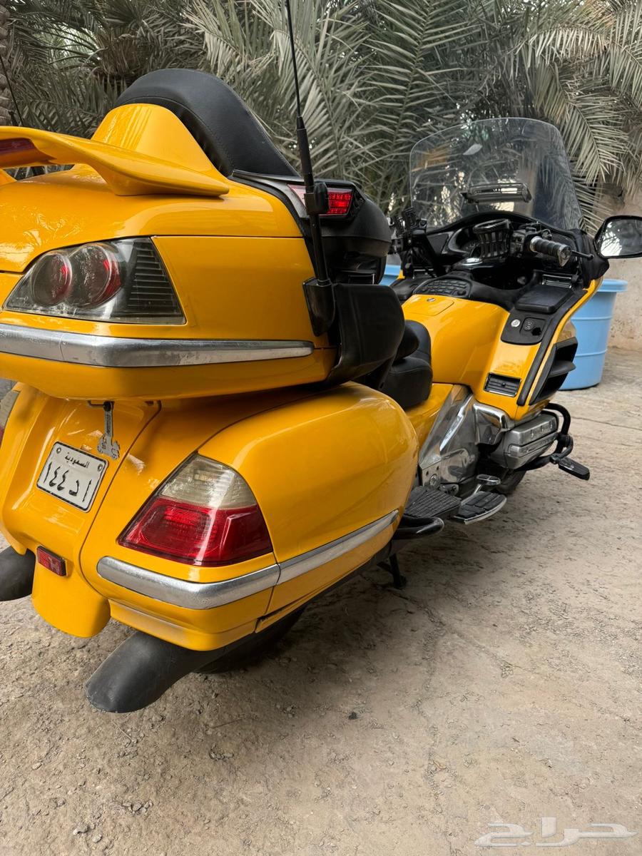 دراجة قولد وينق63699626786945110