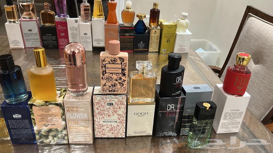 عطورات متنوعه بأسعار رخيصه تصلح هدايا وبيع بالجمله63700459729281114