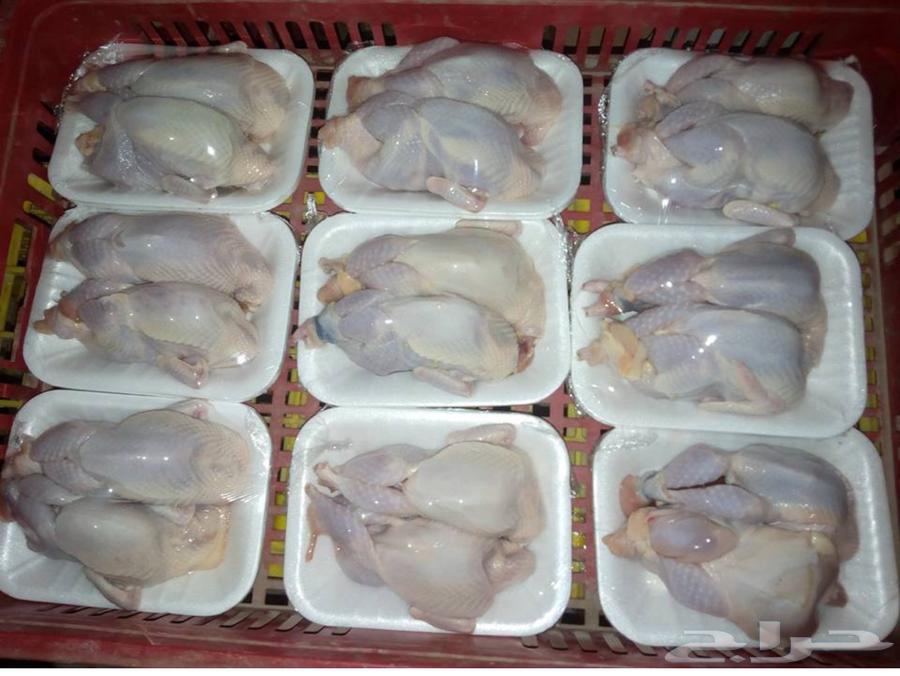 جوز حمام ب سعر الجملة مصلوخ ونظيف ب 15 بلدي63701698101378111