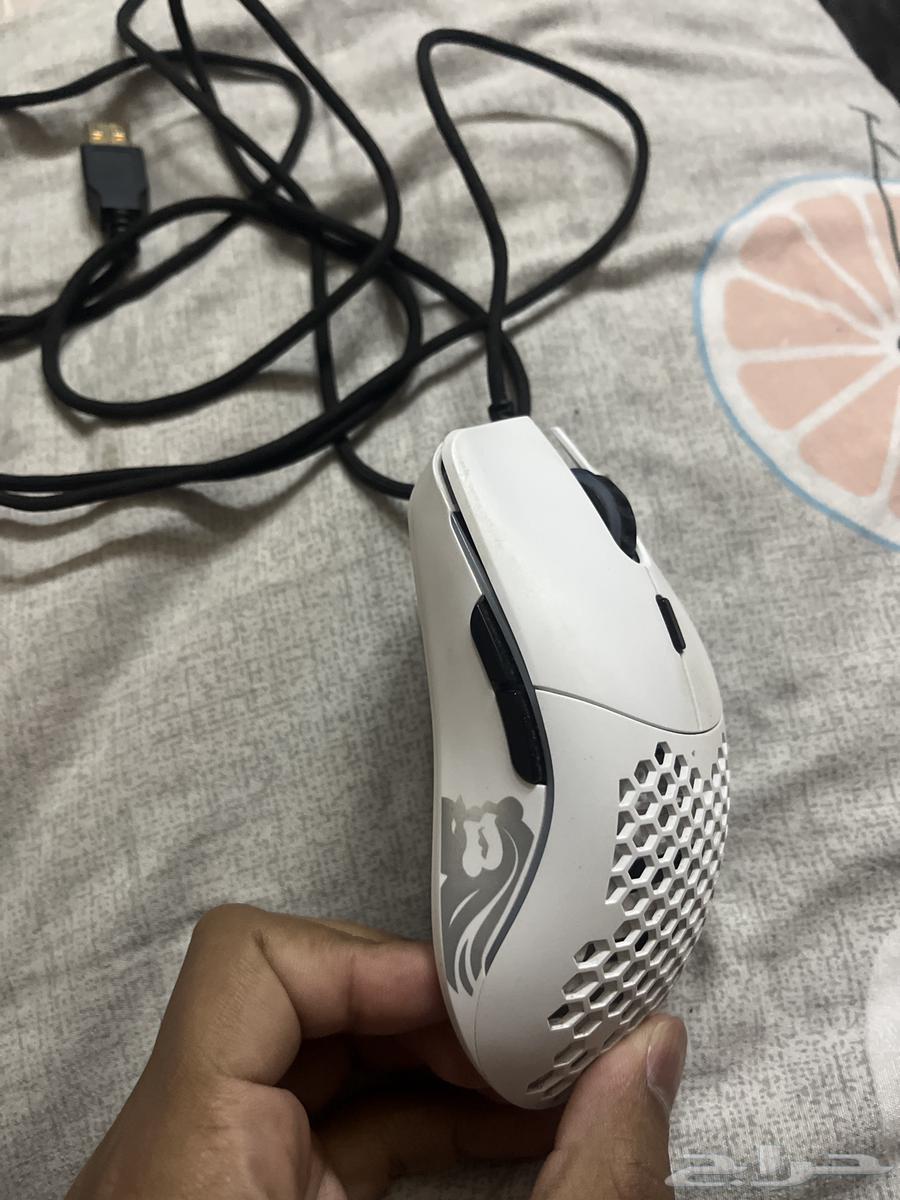 Floris Mouse Model O63699624523394111