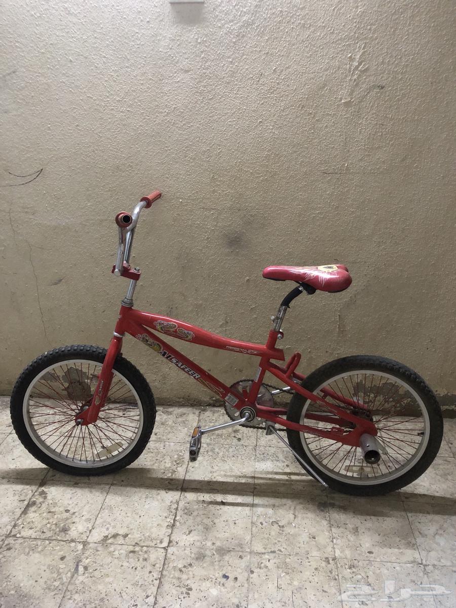 Cyclone Cobra63701023620098110