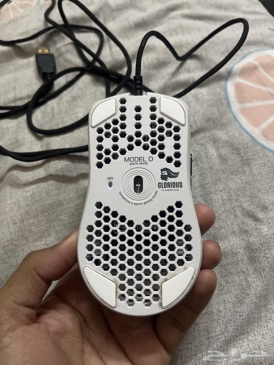 Floris Mouse Model O63699624523394112