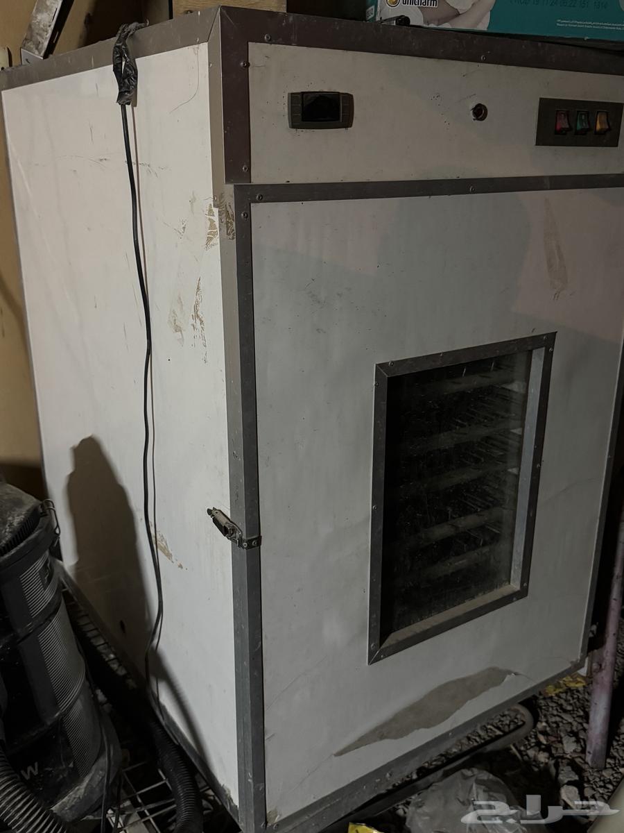 Incubator63705009227779110