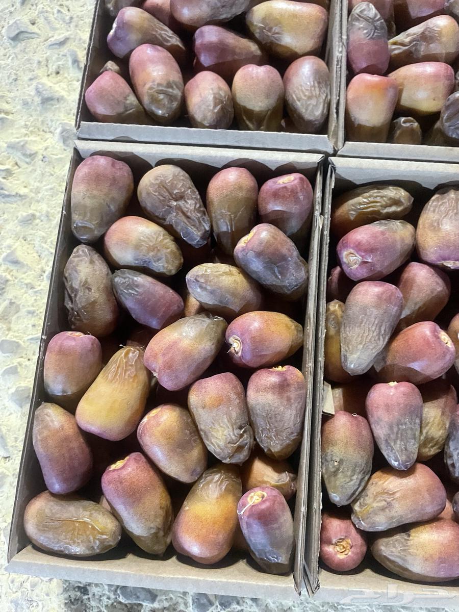 Al-Qassim dates are available on Friday at Al-Rajhi Mosque63700088675585114
