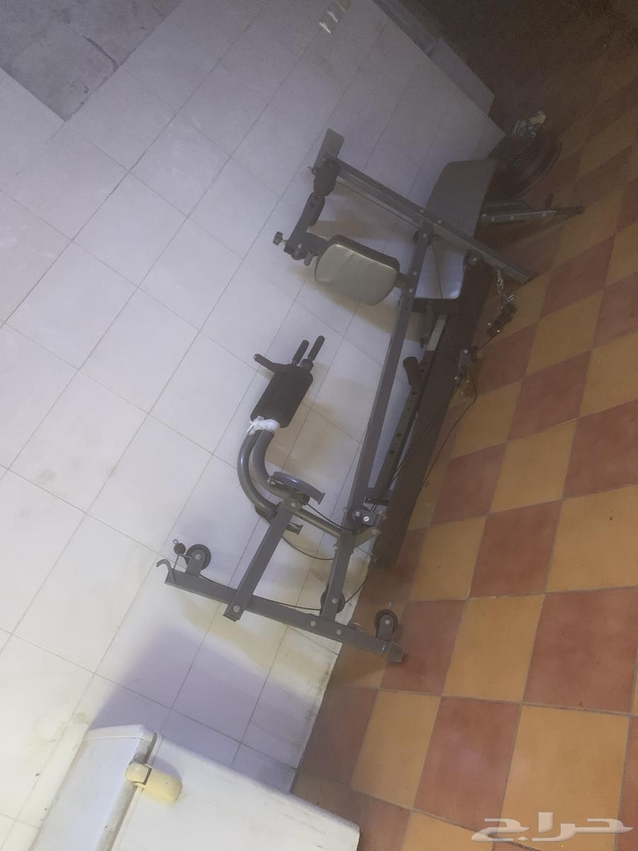 جهاز رياضي لعضلات الظهر والأكتاف63699626119041110