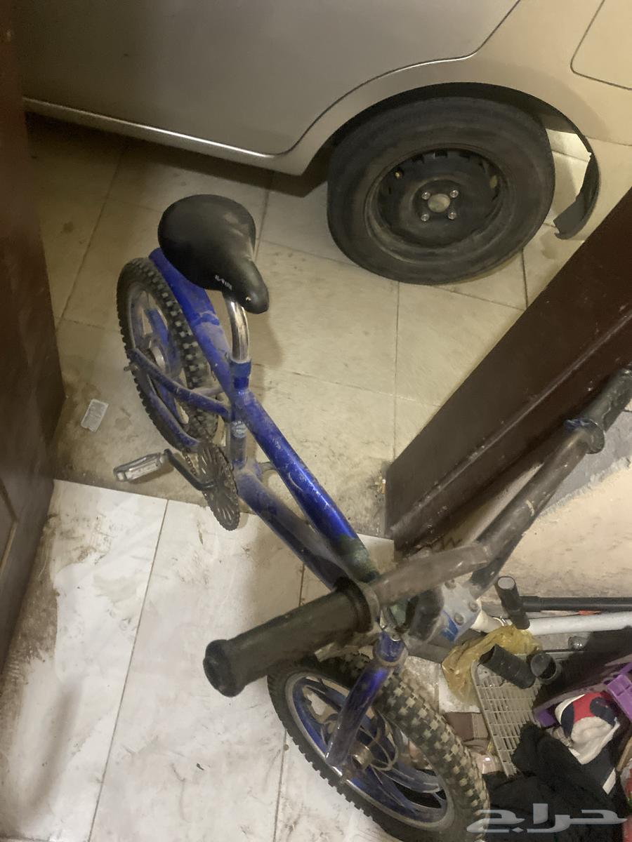 سيكل رامبو وكوبرا للبيع63703859467265111
