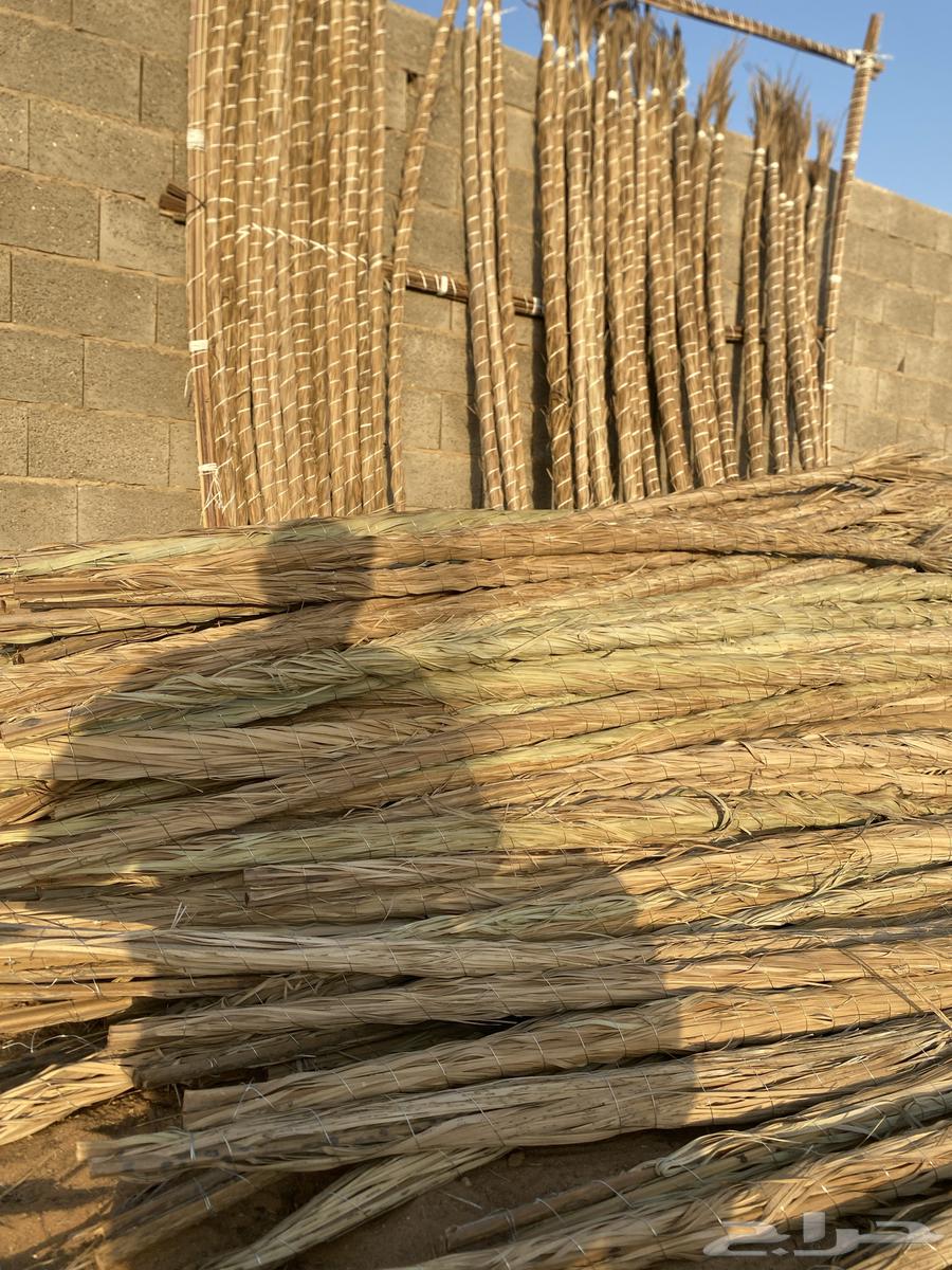 Jareed Matwi63702335127426110