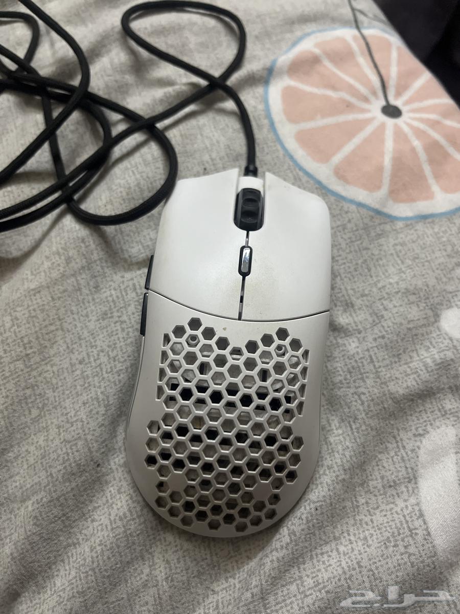 Floris Mouse Model O63699624523394110