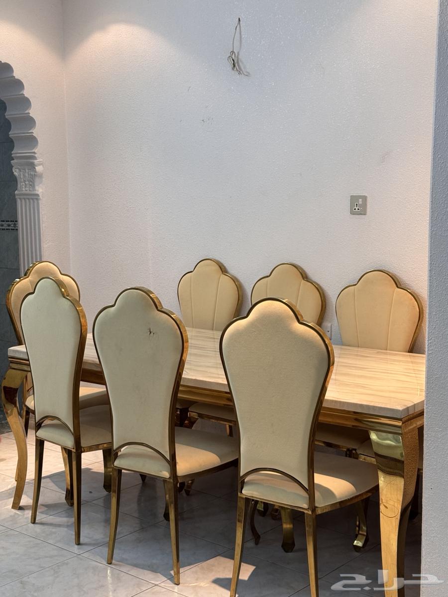 Dining table with 8 chairs63700369834371113