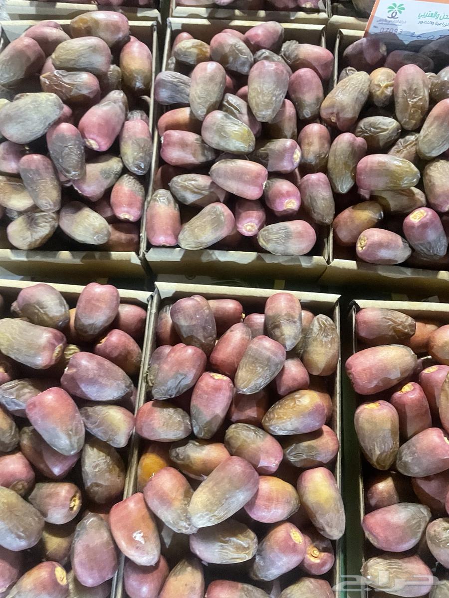 Al-Qassim dates are available on Friday at Al-Rajhi Mosque63700088675585113