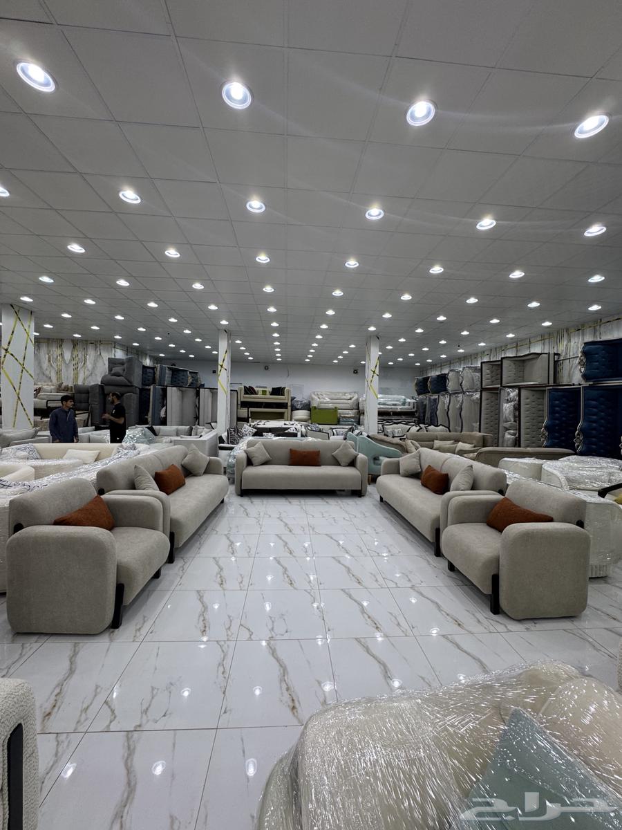 Luxury Creativity Offers, Complete Set for 11 People, Ready for Immediate Delivery with Special Offers63699532733442113
