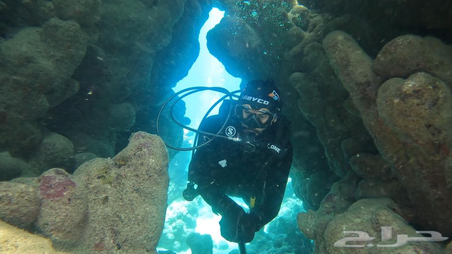 Dive Experience at a Very Attractive Price63699634300291110