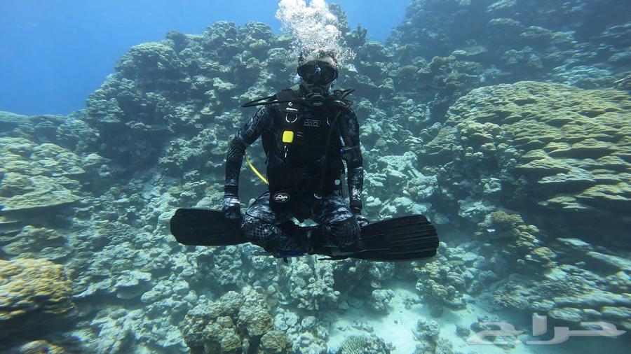 Dive Experience at a Very Attractive Price63699634300291112