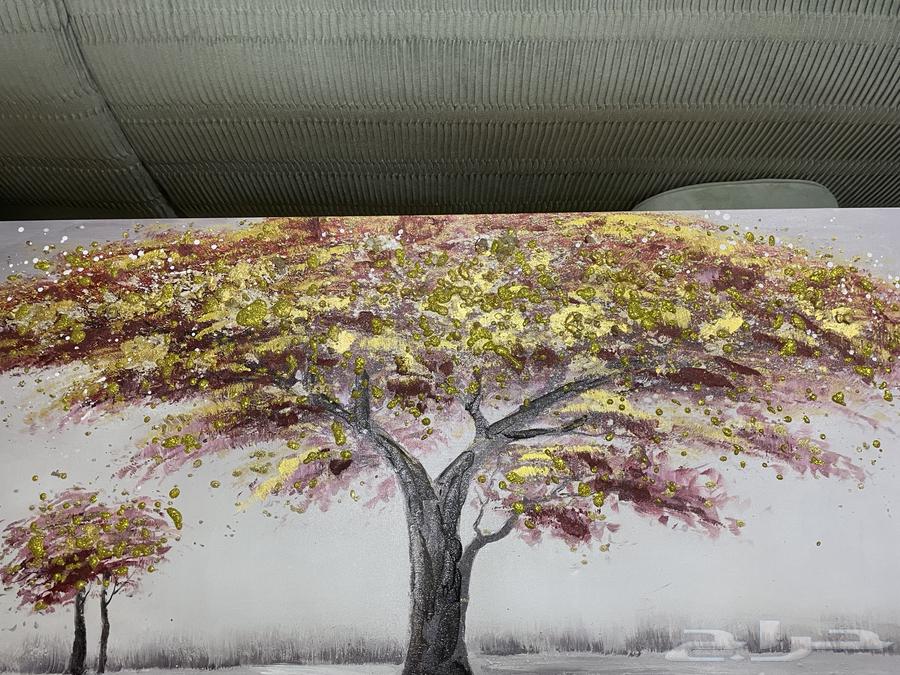 Boards for sale63699633439747112
