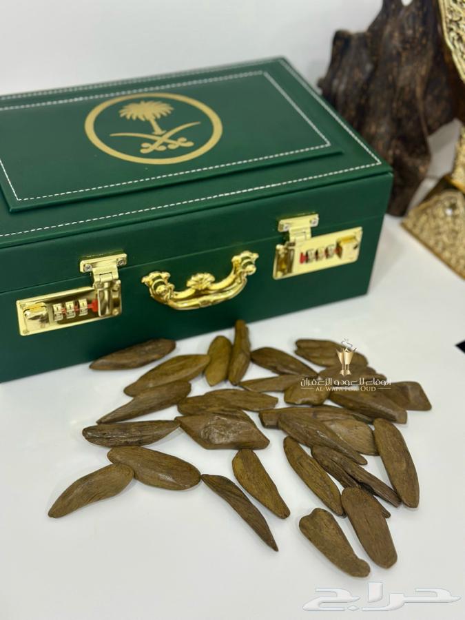 Royal Moroccan Oud for Occasions and Majlis63700271863938111