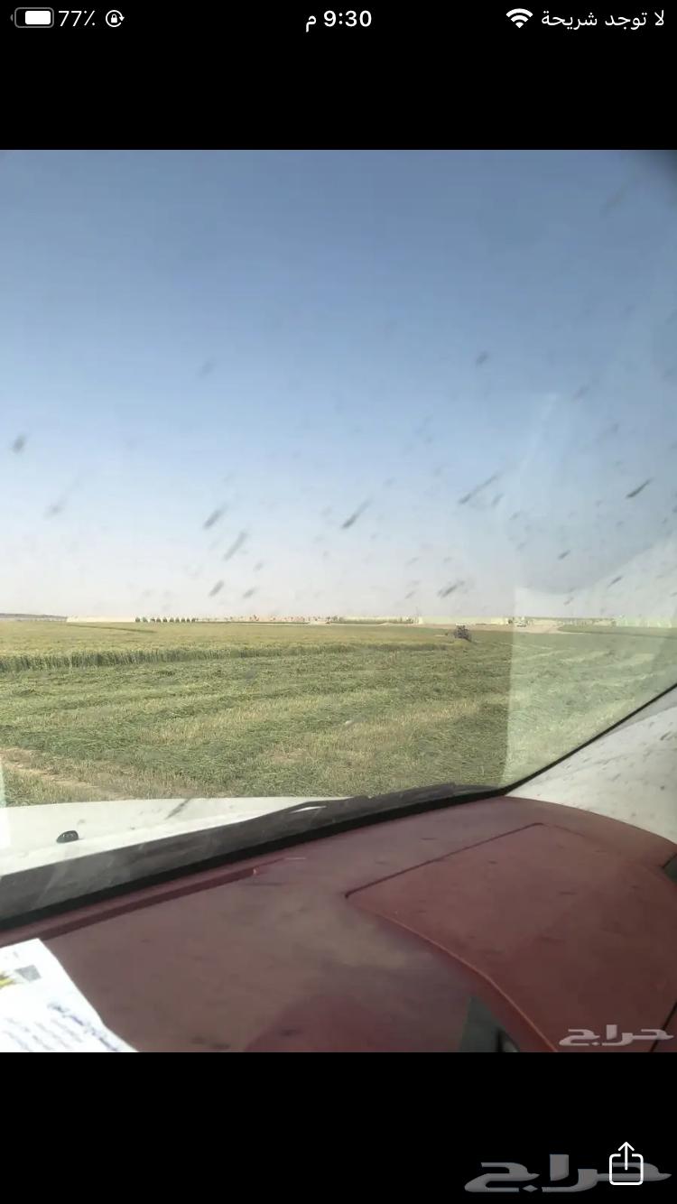 للبيع علف بلوبنك معه خلط63703238102019114