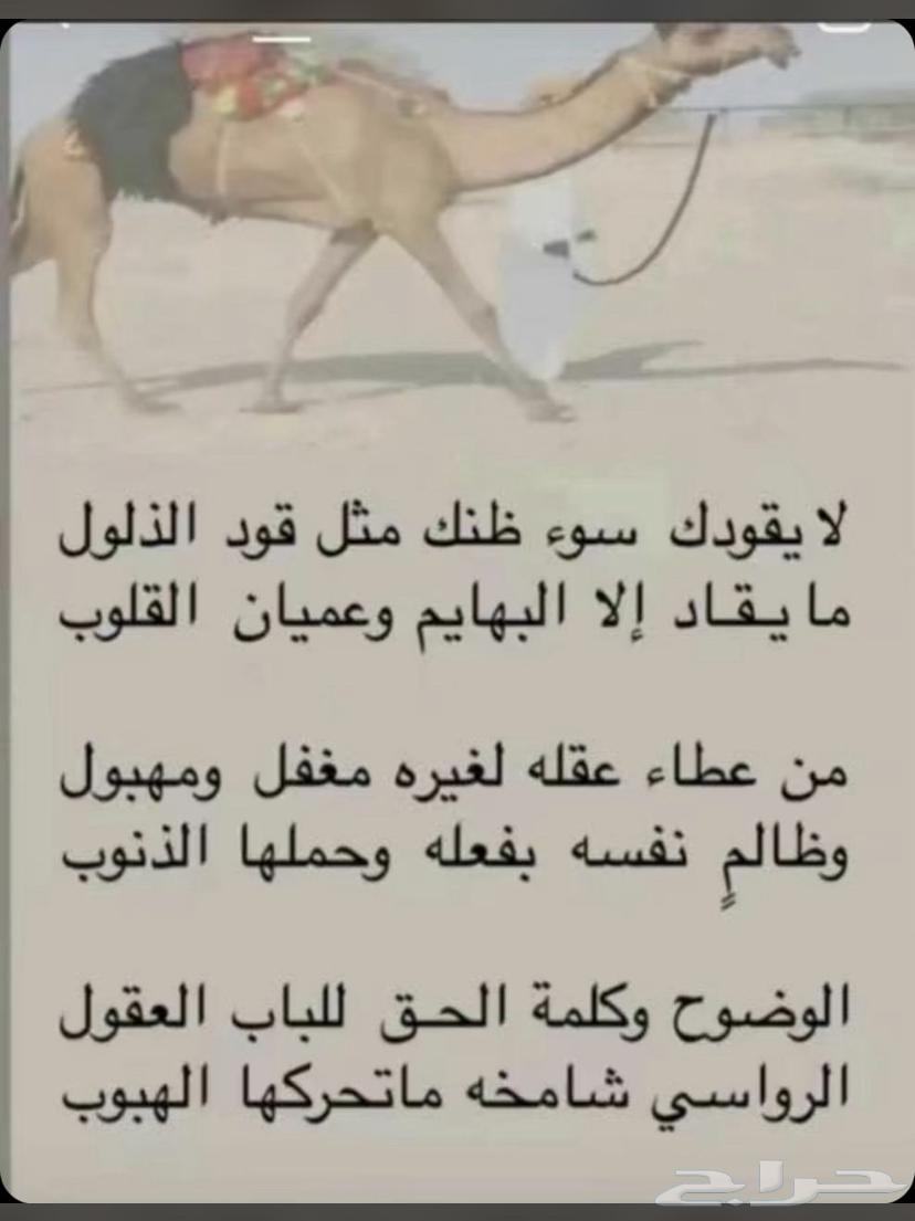 مطلوب وايت سكس والا عايدي مسقط شرط نظيف63761193908097110