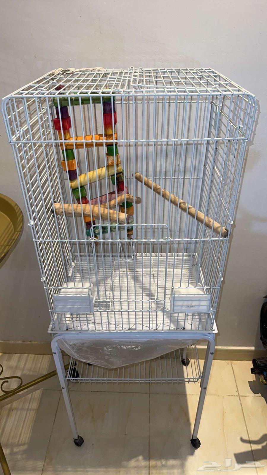 Kasco cage with Kasco stand, Macaw, and 601 stand63705650601474110