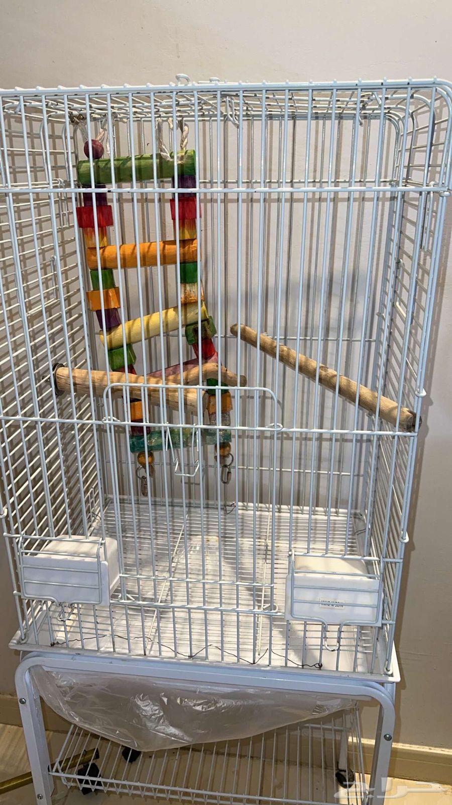 Kasco cage with Kasco stand, Macaw, and 601 stand63705650601474111