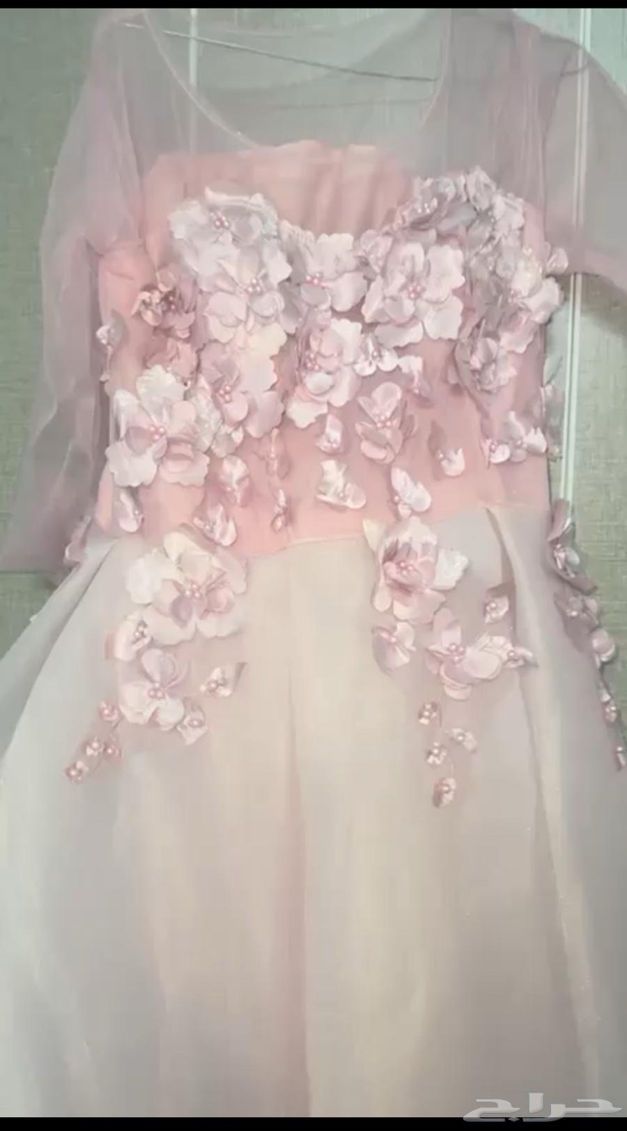 سنة 20 2563699622582529110