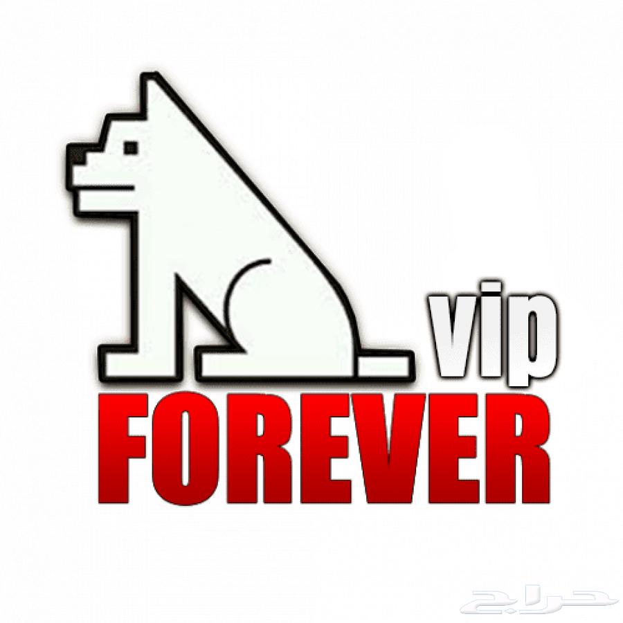 Don't just live it, experience it with Forever63713384345474111
