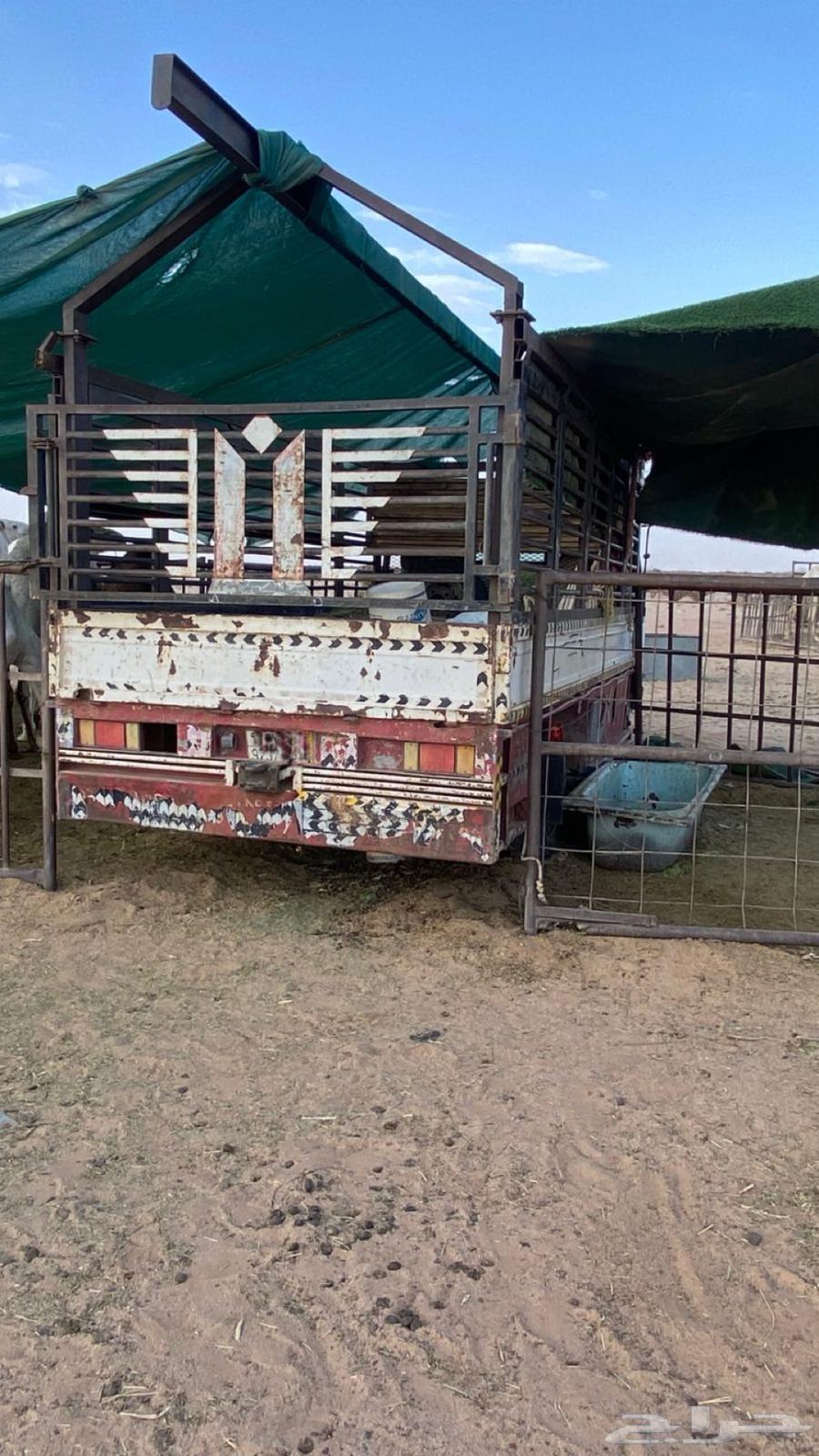 Isuzu truck model 2002 with conditions and engines63794217704449112