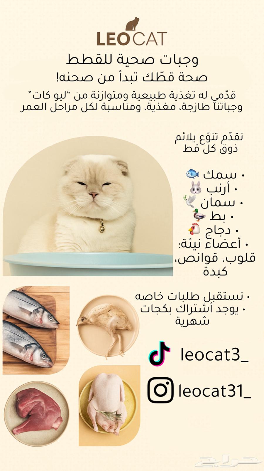 رمل قطط و وجبات صحيه63713212945027110