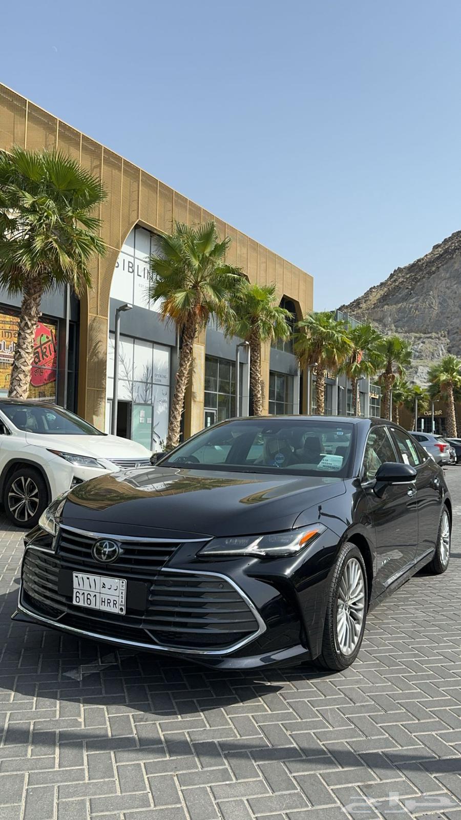 Avalon Premium Stored63788916645506110