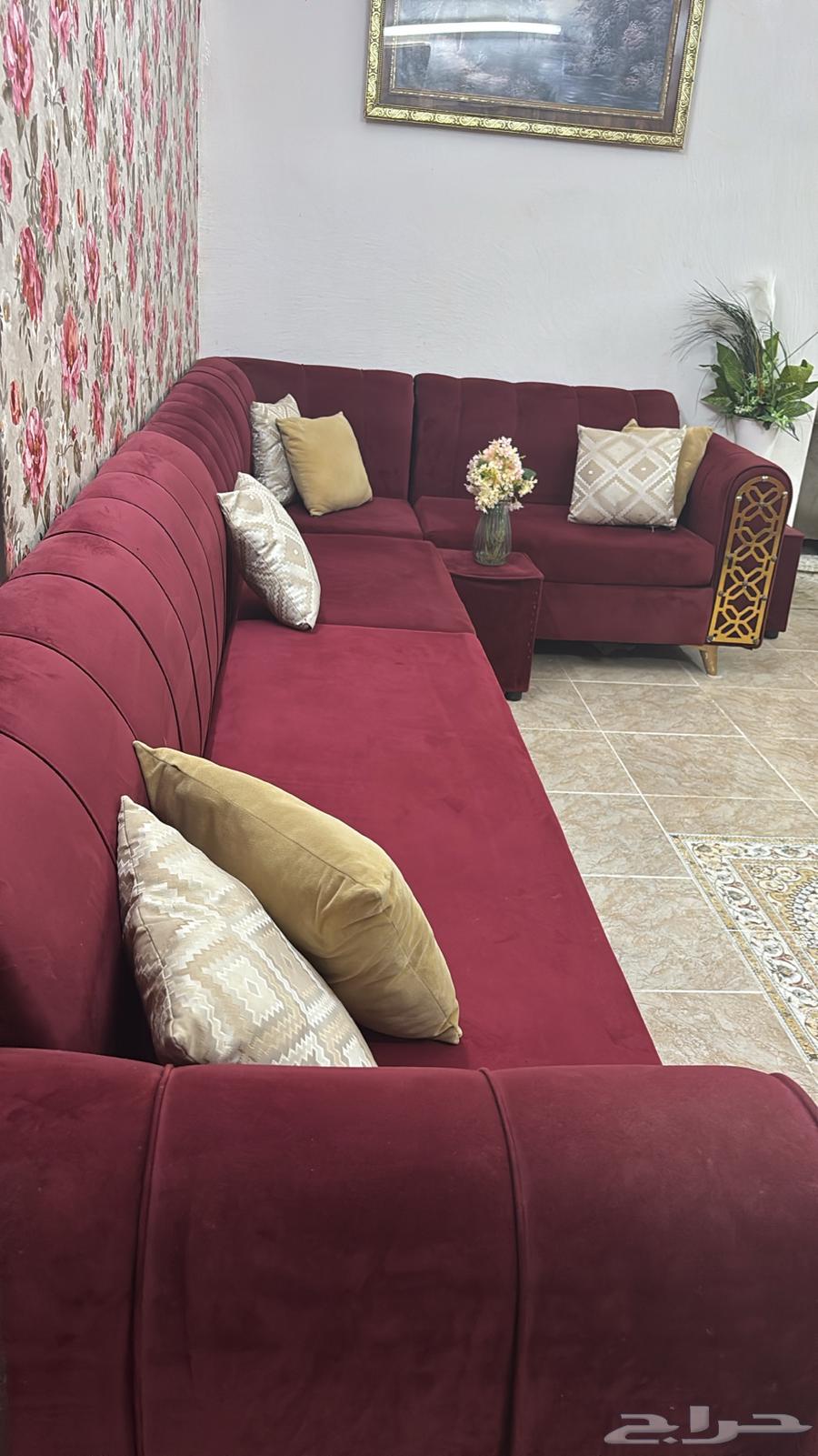 كنب للبيع محافظة قلوة مركز الشعراء63713862296067114