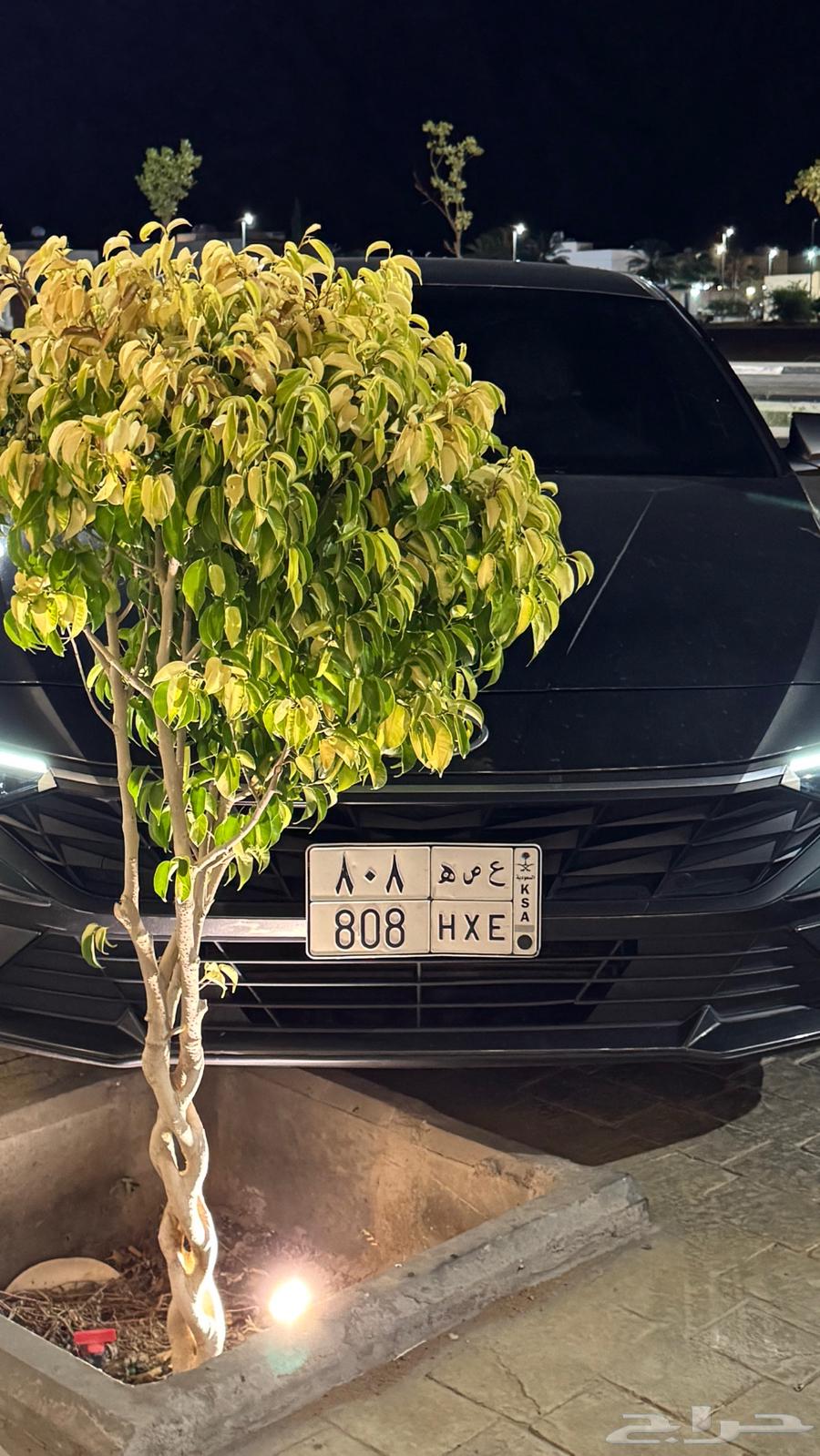 للبيع لوحة مميزة خصوصي63781681369218110