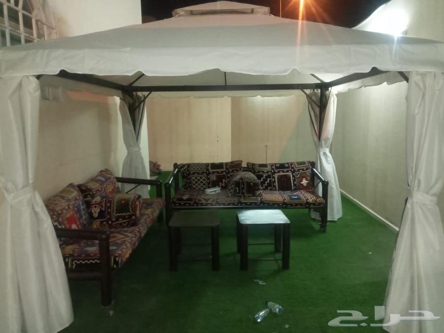 New umbrellas63709285058049114