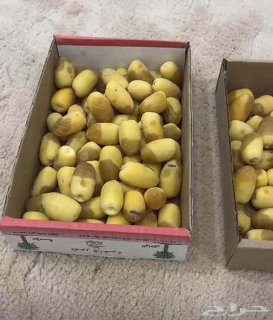 Today's Kharraf dates are available in quantities with free delivery, 5 boxes in Al-Kharj63714058412162110