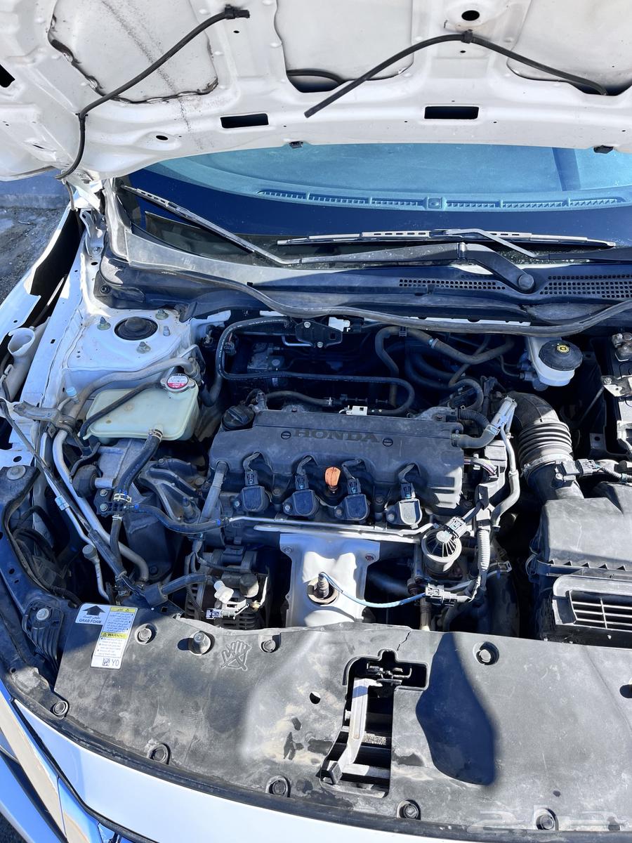 Seyfak 201763800670774530110