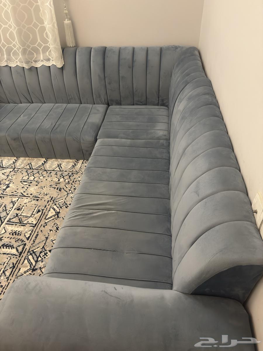 مجلس نظيف وكبير63707584218626112