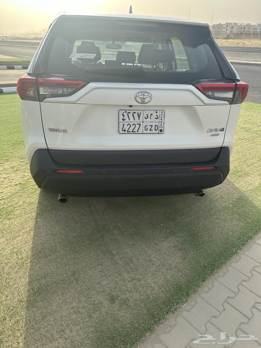راف فور202063798573403905113