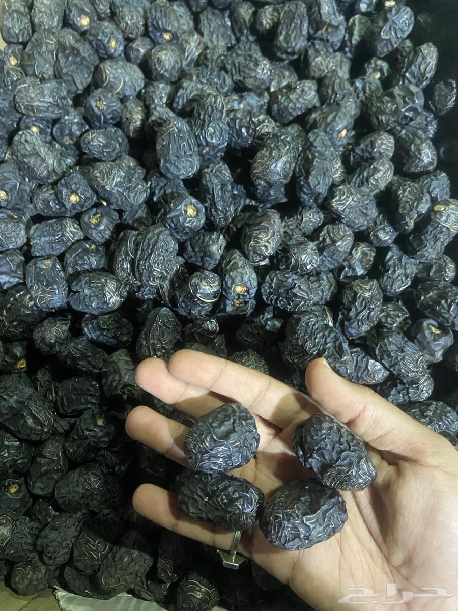 Ajwa Dates63714908607491110