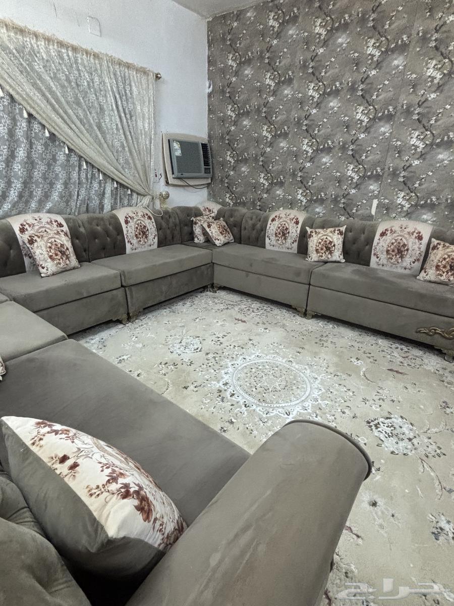 كنب للبيع محافظة قلوة مركز الشعراء63713862296067111