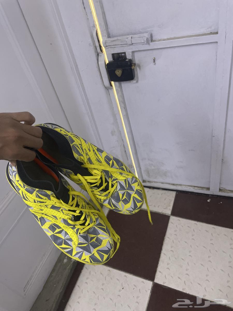 New vineyard shoe, used for only two days, size 4063711412566530114