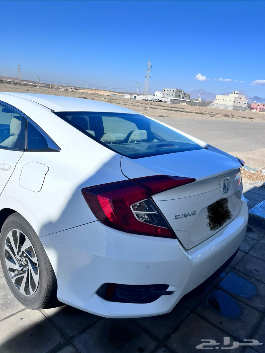 Seyfak 201763800670774530111